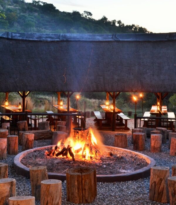 Game Drive