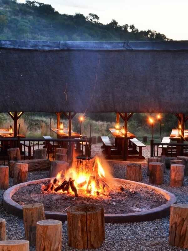 Game Drive